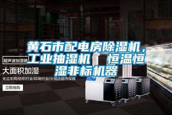 黃石市配電房除濕機，工業(yè)抽濕機  恒溫恒濕非標機器