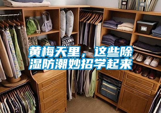 黃梅天里，這些除濕防潮妙招學(xué)起來(lái)