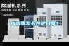 梅雨季怎么養護月季？