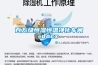 百萬(wàn)級恒濕恒溫凈化車(chē)間.docx