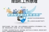 機房除濕機廠(chǎng)家除濕器廠(chǎng)家