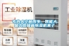 專(zhuān)為大空間而生，智能大吸力低噪音除濕機來(lái)了
