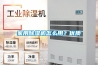 家用除濕機怎么用？?jì)?yōu)質(zhì)