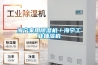 海寧家用除濕機／海寧工業(yè)抽濕機