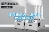 濕氣重的人，是不是更容易出汗？
