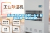 新風(fēng)除濕機多少錢(qián)一臺？新風(fēng)除濕一體機價(jià)格