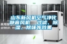 山東新風(fēng)機空氣凈化靜音風(fēng)機  過(guò)濾、除濕、除味等效果