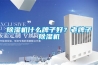 除濕機什么牌子好？老牌子除濕機