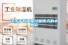 讓孩子舒適度過(guò)回南天的小妙招