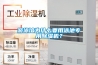 游泳館為什么要用泳池專(zhuān)用除濕機？