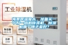 海景房濕度大，準備買(mǎi)一個(gè)好一點(diǎn)的除濕機，除濕機哪個(gè)牌子最好？
