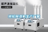 轉輪除濕機生產(chǎn)廠(chǎng)家