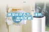 潮濕悶熱天氣，謹防狗狗中暑！