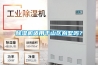除濕機適用于山區別墅嗎？