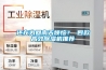 還在為回南天煩惱？ 四款高效除濕機推薦