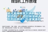 誰(shuí)才是梅雨季衣物的“干爽之友”？四款除濕機干衣對比橫評—萬(wàn)維家電網(wǎng)