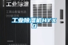 工業(yè)除濕機HYXD