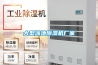 大型泳池除濕機廠(chǎng)家