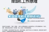 家庭除濕機該如何選擇？