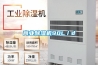 商業(yè)除濕機90L／d