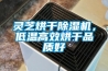 靈芝烘干除濕機，低溫高效烘干品質(zhì)好