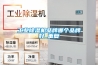 工業(yè)除濕機品牌哪個(gè)品牌好_重復