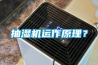 抽濕機運作原理？