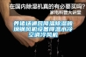 養豬場(chǎng)通風(fēng)降溫除濕玻璃鋼風(fēng)機設備降溫水冷空調冷風(fēng)機
