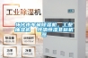 懷化市車(chē)間除濕機，工業(yè)抽濕機  恒溫恒濕非標機器