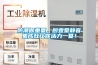 防潮很重要，廚壹堂靜音集成灶讓你活力一夏！