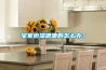 宅家也濕漉漉的怎么辦？