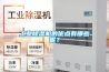 工業(yè)除濕機的優(yōu)點(diǎn)有哪些呢？