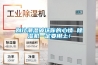 別讓潮濕破壞你的心情 除濕機一定要用上！