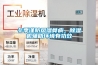冬季謹防風(fēng)濕骨病，除濕機輔助環(huán)境有功效