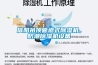 信陽(yáng)吊頂管道式除濕機，防潮除濕機設備