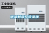 除濕新風(fēng)系統品牌