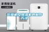 壓縮機及除濕機的制作方法