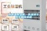 耐高溫除濕機，高溫烘干房專(zhuān)用除濕機