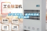 空氣凈化器、機房恒濕機實(shí)力品牌