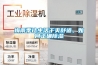 梅雨季讓生活干爽舒適，如何正確除濕